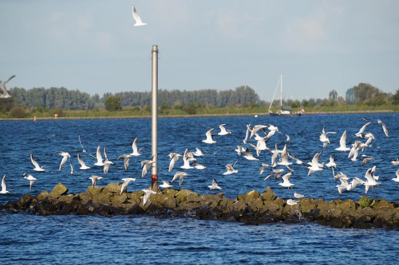 B&B Logeren Bij De Burgemeester Stad aan 't Haringvliet Exterior photo